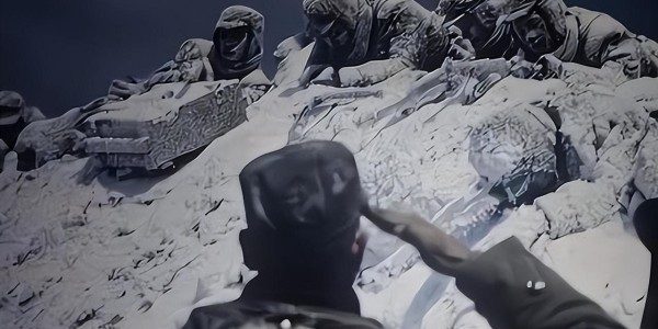 多多28-二百多名军官被枪毙、撤职、处分，长津湖战役中失职的志愿军88师