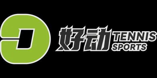 多多28app-罗德拉沃尔上空最璀璨的烟花 献给罗杰费德勒 致我们终将逝去的青春